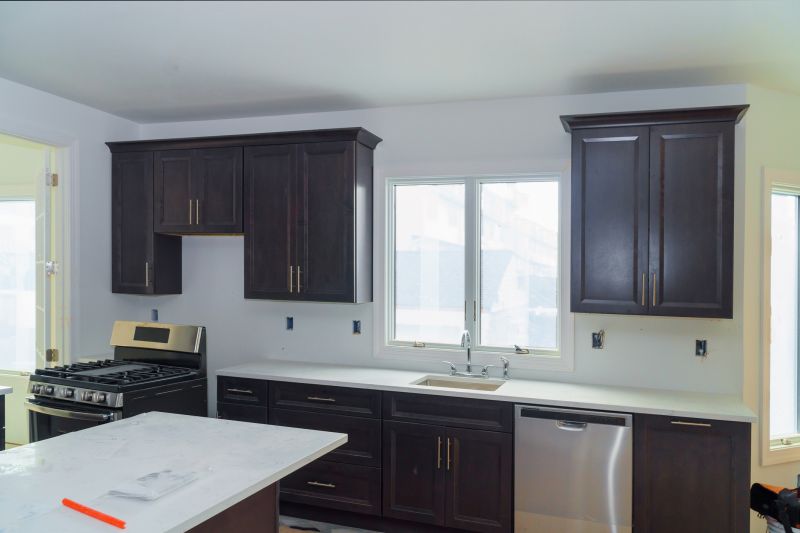 Kitchen Cabinet Staining in Carmel, IN