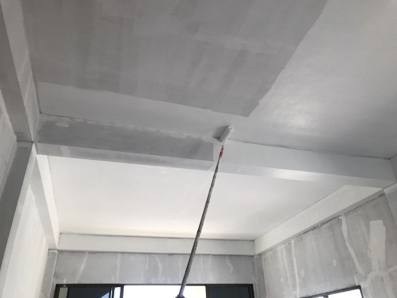 Popcorn Ceiling Painting in Kansas City, KS